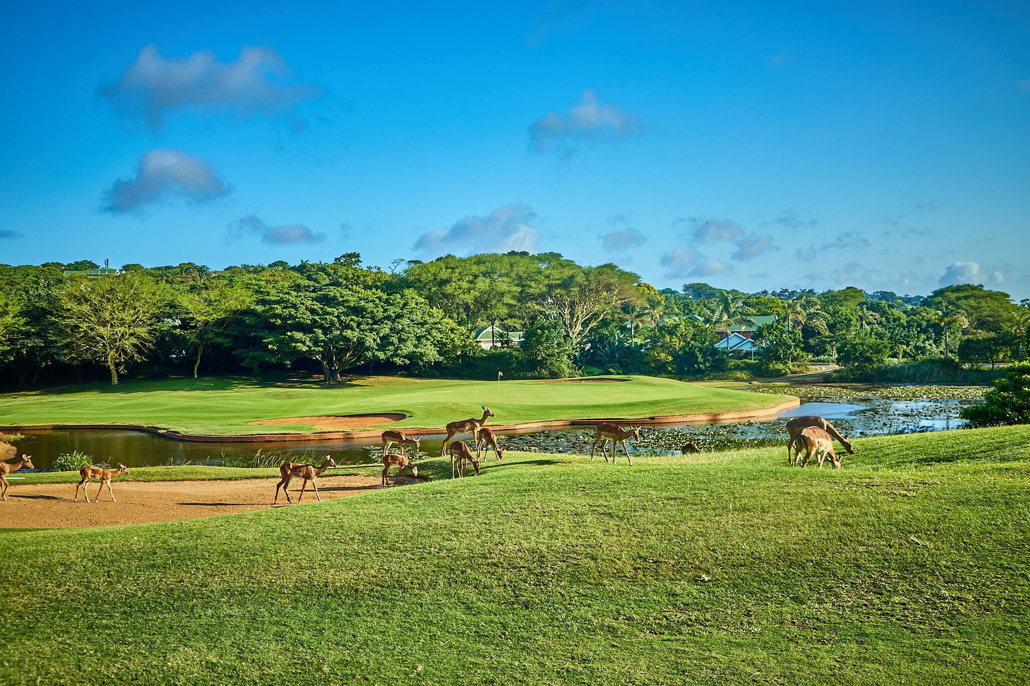 Mount Edgecombe Estate Extension