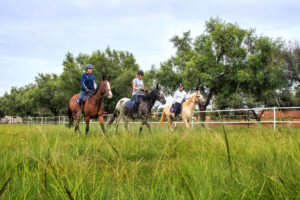 Mooikloof Equestrian Estate Extension