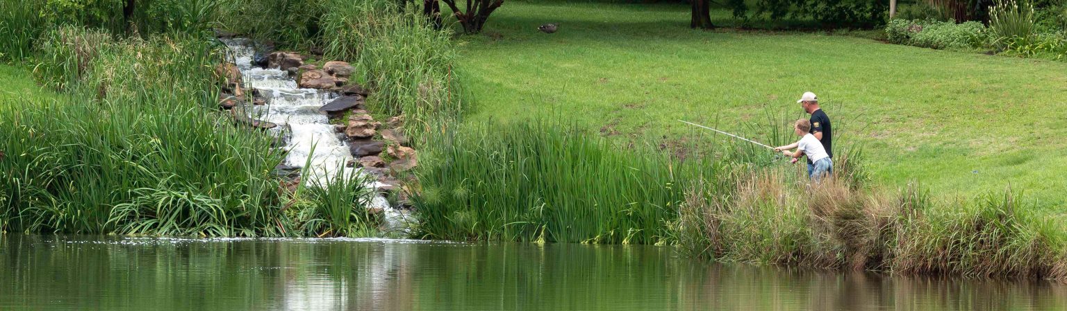 Cedar Lakes Lifestyle Estate
