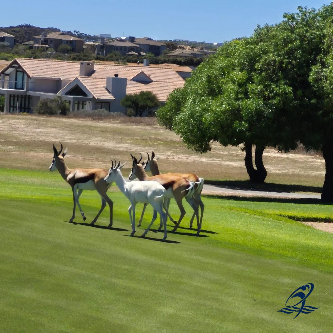 Langebaan Country Estate