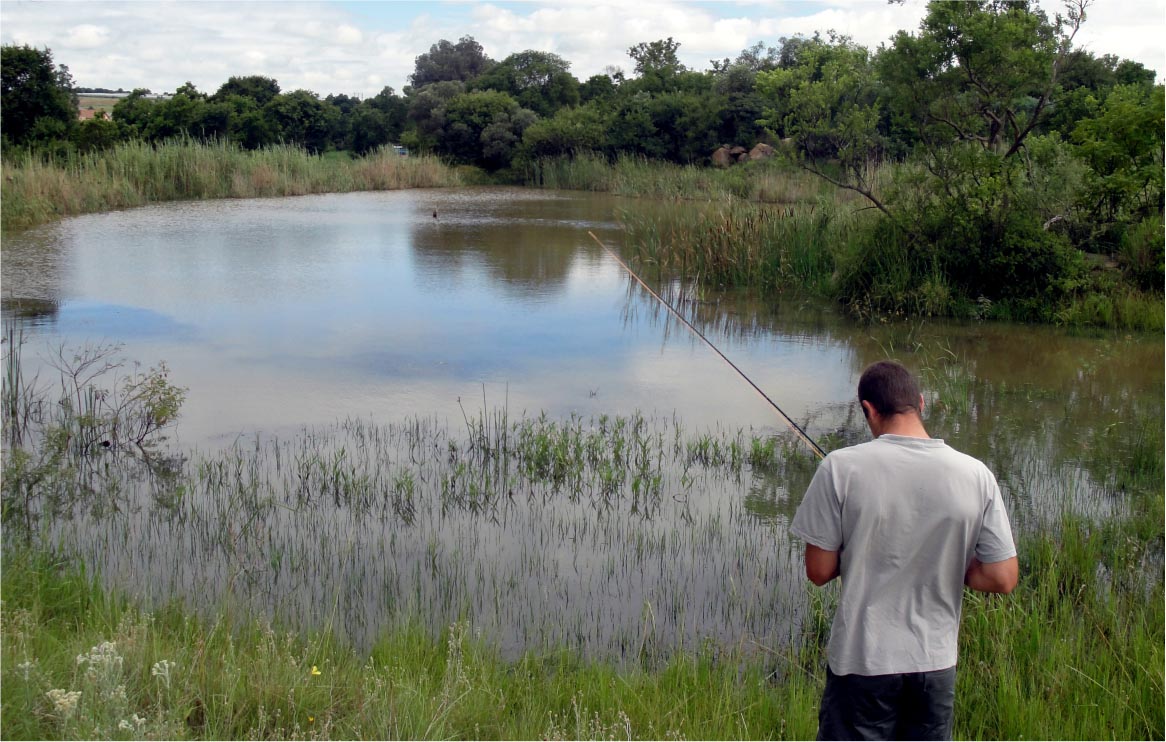 Helderfontein Residential Estate